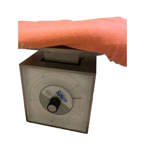 South Dakota Bear T Shirt Midwest Usa Casual Lounge - Picture 10 of 10